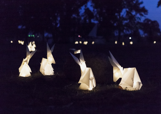 Tempelhofer Feld - 08/2018